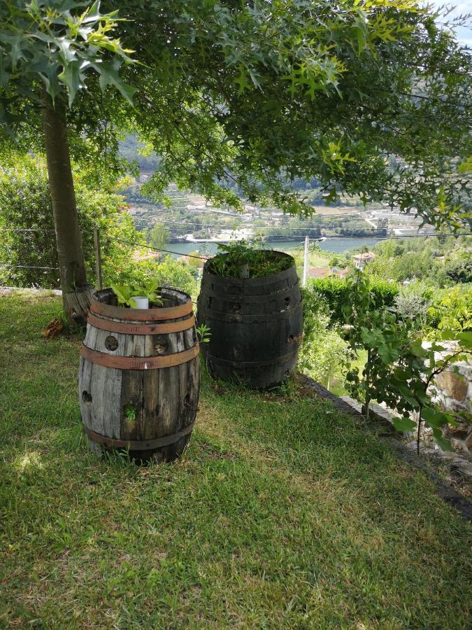 Willa Encosta Do Douro - Rio Douro Cinfães Zewnętrze zdjęcie