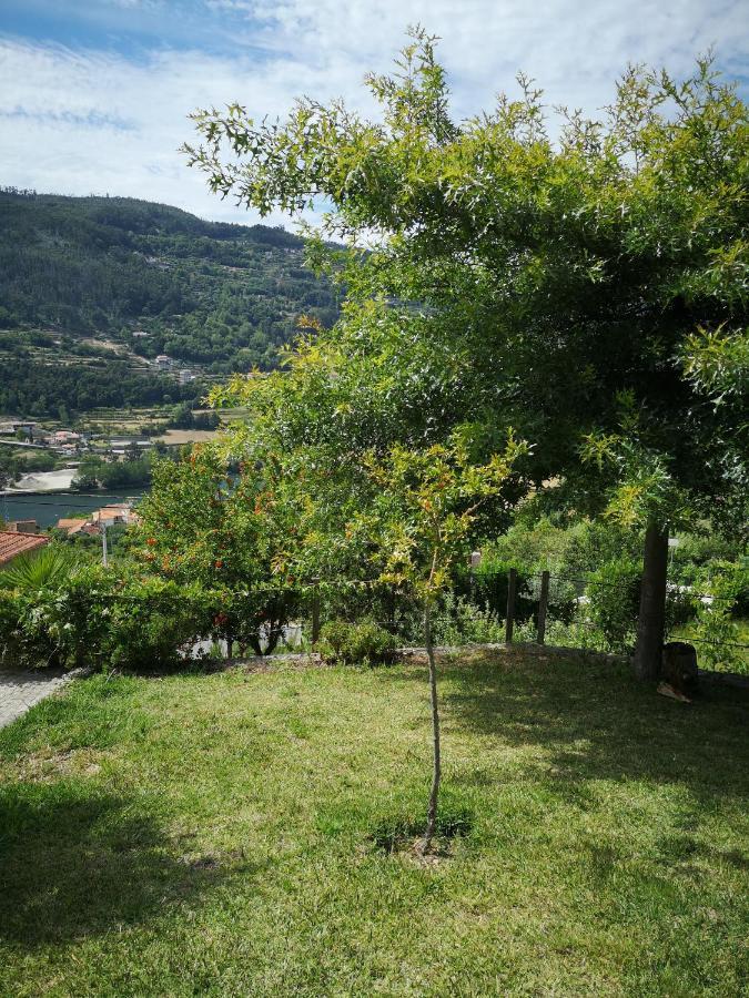 Willa Encosta Do Douro - Rio Douro Cinfães Zewnętrze zdjęcie